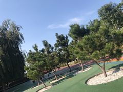 -羊亭河湿地公园