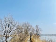 -野鸭湖国家湿地公园