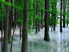 -东湖落雁景区