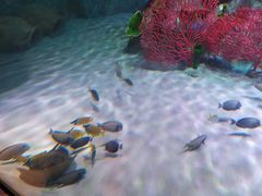 -沈阳海洋探索中心