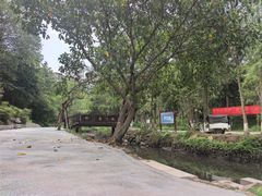 -重庆彩云湖湿地公园