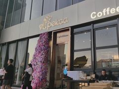 -Pekaa啤咖食肆Coffee&Bistro