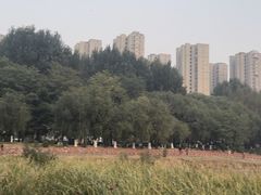 -丁香湖公园
