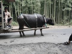 -杭州双溪漂流景区