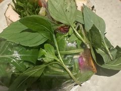 -Wagas沃歌斯(汇智店)