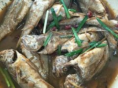 -渔家小院观海海肠捞饭地方菜(环海中路店)