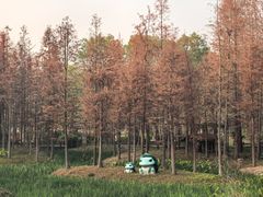-佛冈森波拉度假区