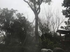 -海兰云天度假区温泉