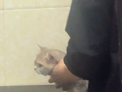 -全心全意连锁动物医院·微创中心·内科急重症·心脏专科(丰管路店)