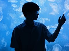 -左海海底世界