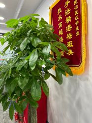 -资医堂·除疤祛痘祛斑