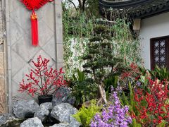 -上海醉白池公园