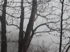 -牛背梁国家森林公园