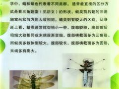 -上海昆虫博物馆