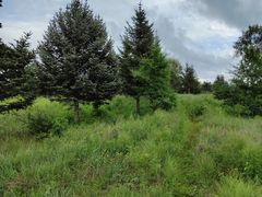 -昂昂溪遗址博物馆