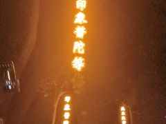 -印象普陀