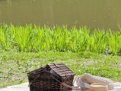 -上海共青森林公园