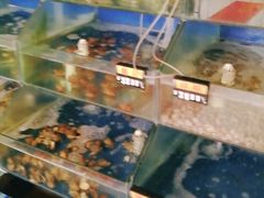 水产区-雅逸居海鲜小厨