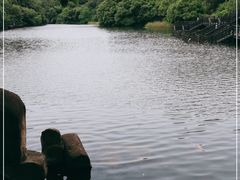 -白马涧龙池景区