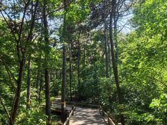 -北京西山国家森林公园