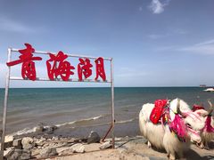 -青海湖国家重点风景名胜区