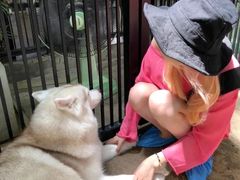 -TrueLove @ Neverland (Husky Cafe)