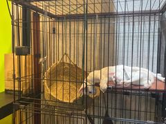 -七叔是岛民(花基新村店)