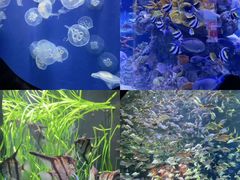 -成都浩海立方海洋公园