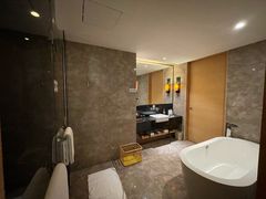 -河源万绿湖美思威尔顿酒店