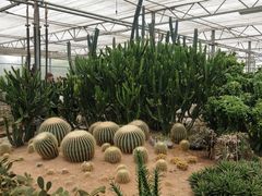 -兰陵国家农业公园