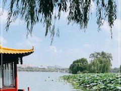 -济南大明湖景区