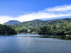 -庐山风景区花径公园