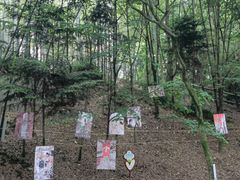 -上海佘山国家森林公园天马山园