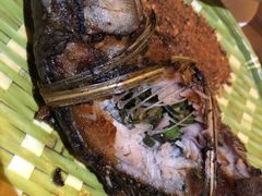 茅草烤鱼-茶花妹子云南餐厅(北大店)