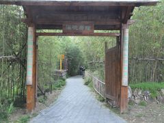 -田园东方蜜桃村的田野营地