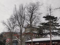 -武庄主特色炒鸡(周恩来纪念馆店)