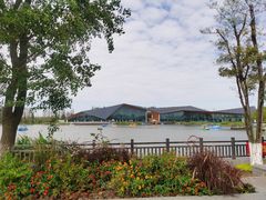 -上海长兴岛郊野公园