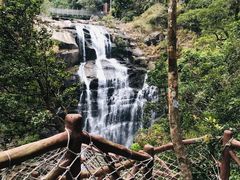 -海南热带雨林国家公园吊罗山景区