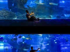 -江和美海洋公园