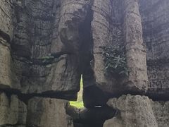 -梭布垭石林景区