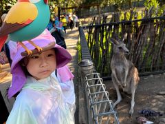 -费瑟代尔野生动物园