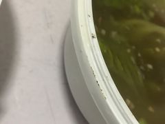 -陈记顺和潮汕鲜牛肉火锅(棠德南路店)