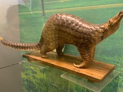 -下渚湖国家湿地公园科普馆