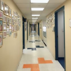 -杭州贝瑞斯美华妇儿医院·早孕·产检·儿科