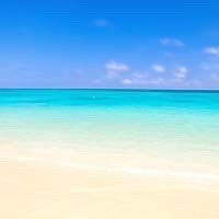 -薇兰专业脱毛连锁机构