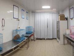 -派特宠物医院(圆融广场店)