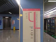 -大龙山(地铁站)