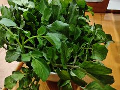 -潮汕美牛肉丸火锅店(天宁寺店)