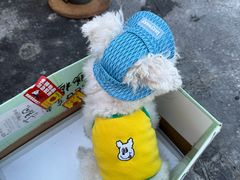 -半岛宠物医院24小时(科华中路店)