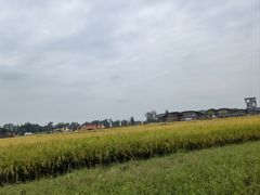 -中国天府农业博览园